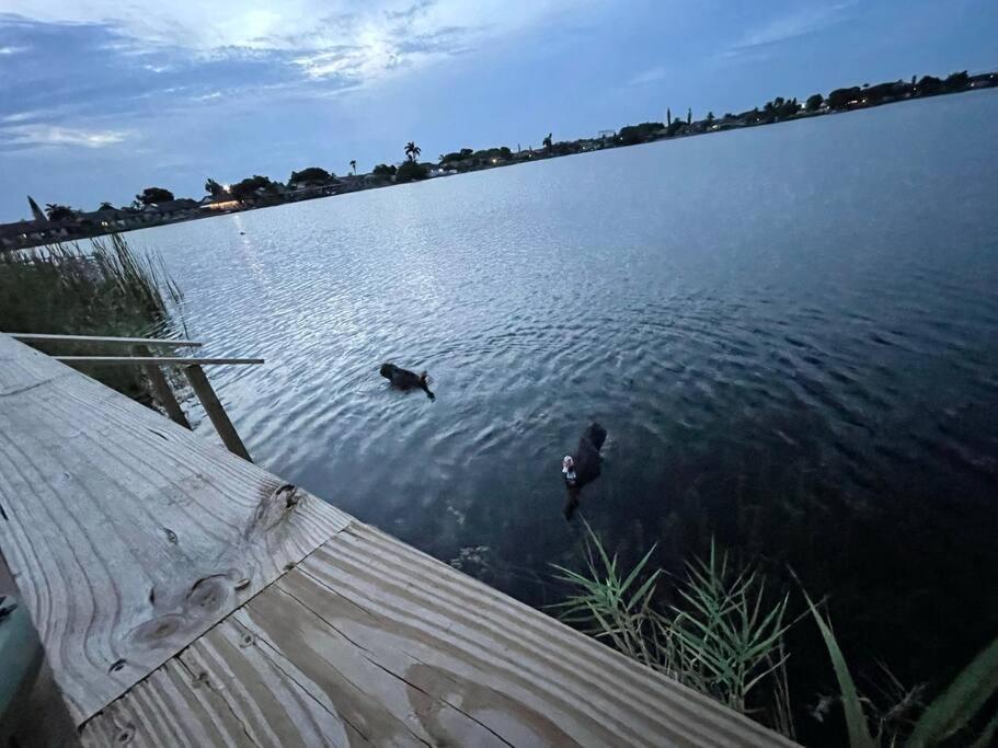 Supervilla - Lakefront - Sunsets, Kayaks, Grill Форт-Лодердейл Екстер'єр фото